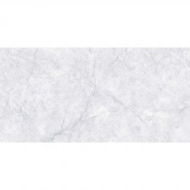Gres szkliwiony EVERSTONE grey mat 59,8x119,8 gat. II