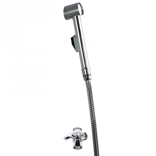 DEANTE Zestaw bidetta punktowy BIDETTA chrom z przełącznikiem natrysku ANW_041C