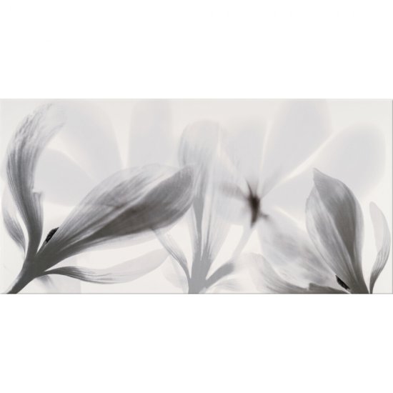 Płytka ścienna inserto COLORADO NIGHTS grey flower glossy 29x59,3 gat. I