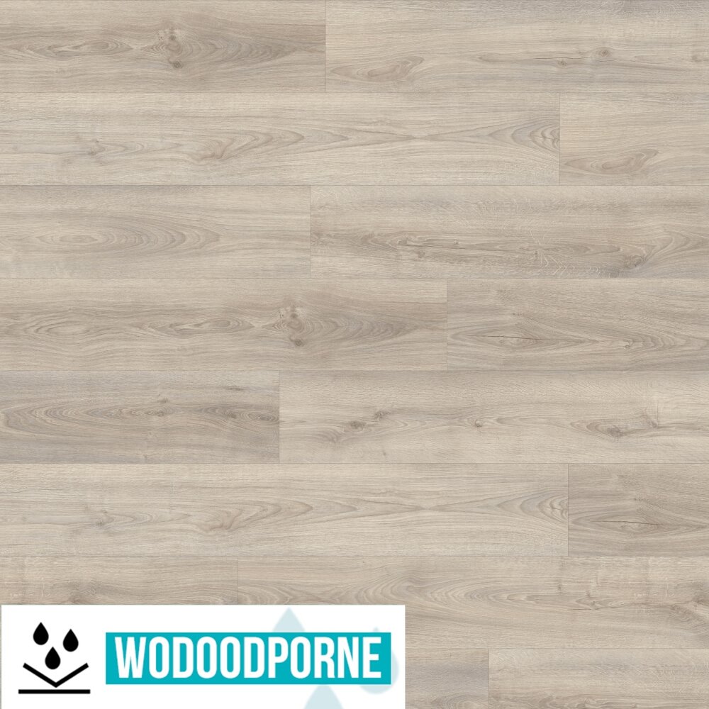 Panele Winylowe Lvt Ivc Divino Dryback Kentucky Oak Kl Mm Outlet Nexterio