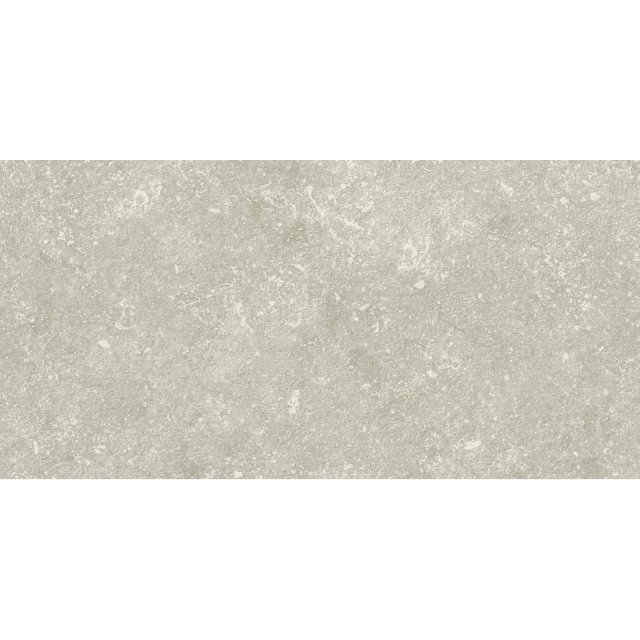 Gres szkliwiony MEDICIO light grey mat 29,8x59,8 gat. II