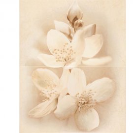 Płytka ścienna DIANA multicolor decor flower glossy 40x50 gat. I