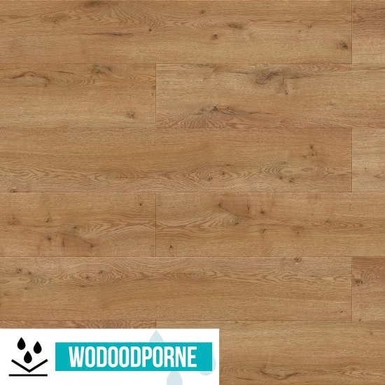 Panele winylowe SPC BARLINEK NEXO LIVING DĄB LIVO KL 23-33 5 mm