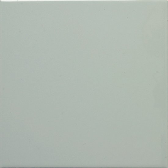 Płytka ścienna hiszpańska VA MONOCOLOR ALGA LISO błyszcząca 20x20 gat. I