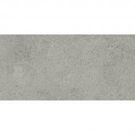 Gres szkliwiony GIGANT silver grey mat #577 29,8x59,8 gat. II
