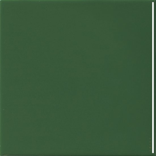 Płytka ścienna hiszpańska VA MONOCOLOR BOTELLA LISO błyszcząca 20x20 gat. I