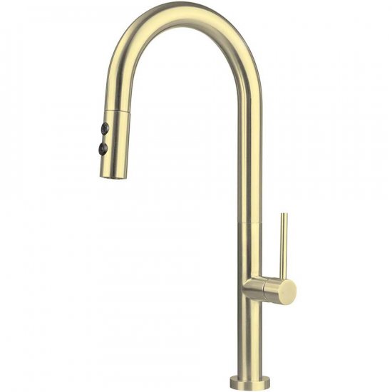 DEANTE Bateria kuchenna stojąca OLFATO z wyciąganą wylewką złoto szczotkowane BQO_R72M