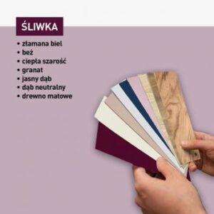 paleta kolorów śliwka