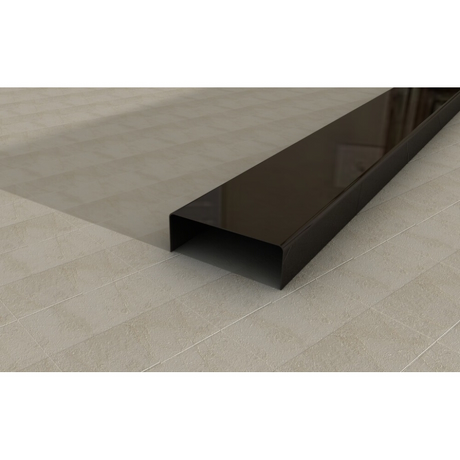 Listwa ze stali nierdzewnej BLACK S20 2 x 244