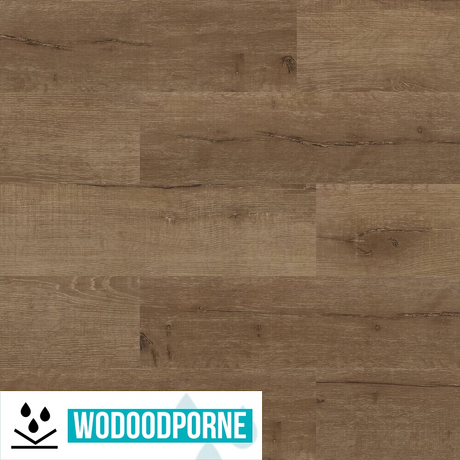 Panele winylowe SPC KORNER FLOOR DĄB SZLACHETNY KL 23-33 5 mm