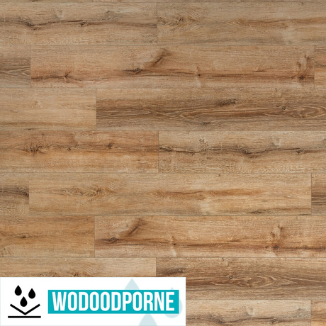 Panele winylowe SPC BESTLAMINATE LIVANTI DĄB KLASYCZNY KL 22-32 5 mm