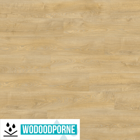Panele winylowe LVT IVC AVVIO DRYBACK SOMERSET OAK 22342 KL 23-31 2 mm