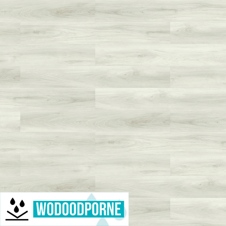 Panele winylowe SPC KORNER PROXIMA FLOOR DĄB ARNO KL 23-34 4 mm