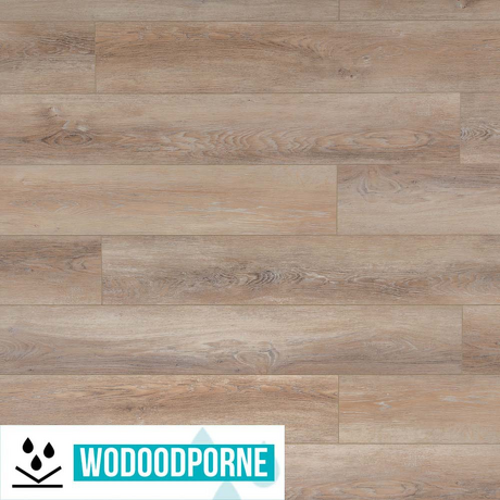 Panele winylowe SPC BESTLAMINATE LIVANTI DĄB PÓŁNOCNY KL 22-32 5 mm