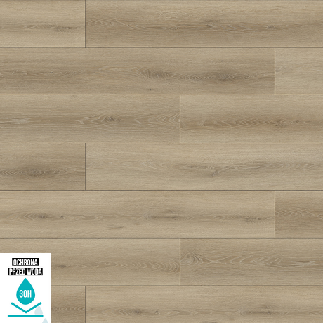 Panele podłogowe WILD WOOD BBL DĄB GOŹDZIKOWY AC6 10 mm