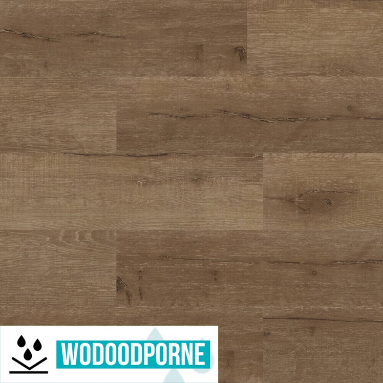 Panele winylowe SPC KORNER FLOOR DĄB SZLACHETNY KL 23-33 5 mm
