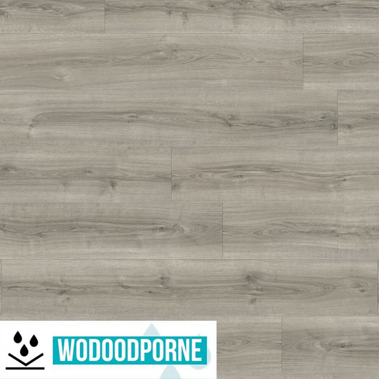 Panele winylowe LVT IVC PRIMERO CLICK DĄB SUMMER SZARY 24935 KL 23-31 4,5 mm